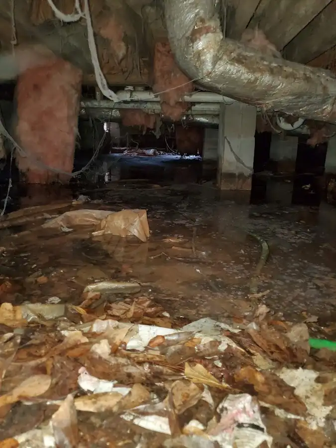 Crawl space flood assessment for Leak Detection & Repair in Rhinelander